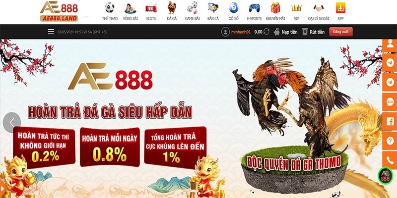 Nhà Cái Đá Gà AE888 - Trải Nghiệm Kịch Tính, Gay Cấn 7 Ưu điểm và cách thức tham gia nhà cái đá gà AE888